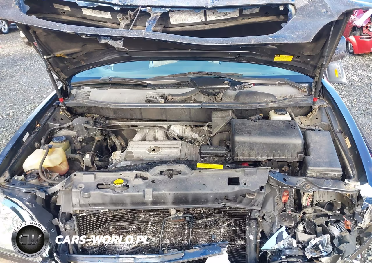 2001 Lexus Rx 300 VIN:JTJHF10U010225463 - 10