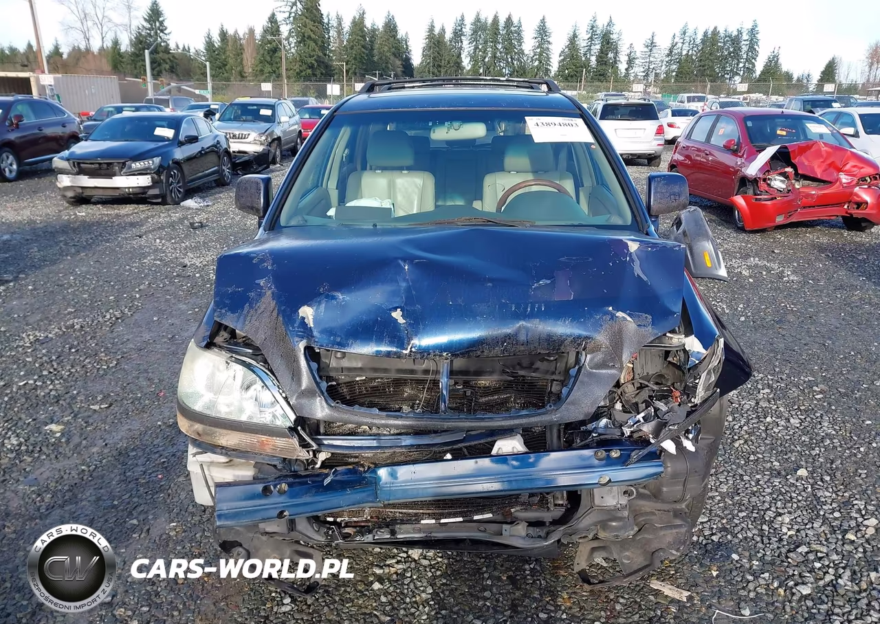2001 Lexus Rx 300 VIN:JTJHF10U010225463 - 13