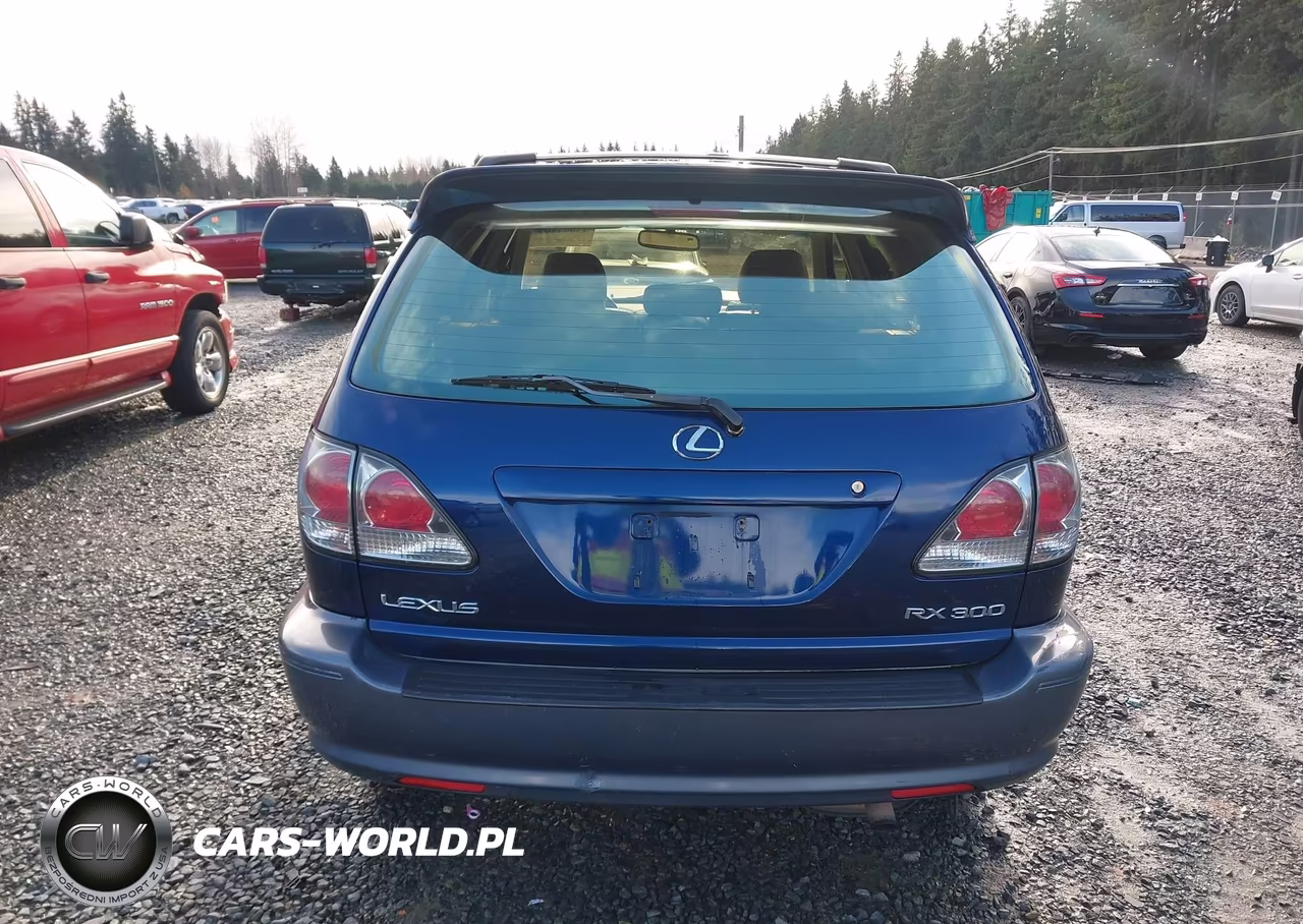 2001 Lexus Rx 300 VIN:JTJHF10U010225463 - 17