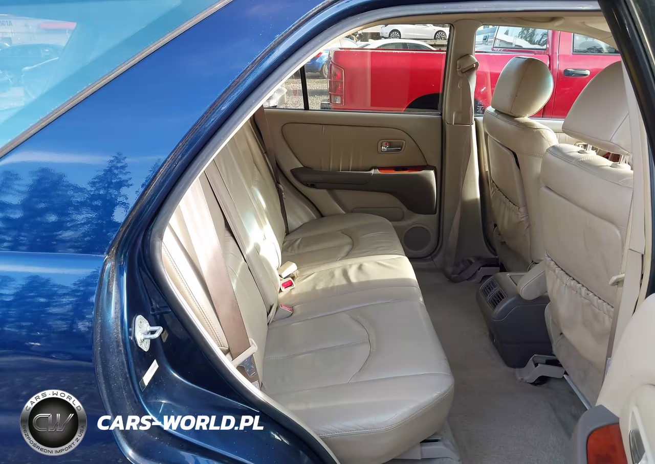 2001 Lexus Rx 300 VIN:JTJHF10U010225463 - 19