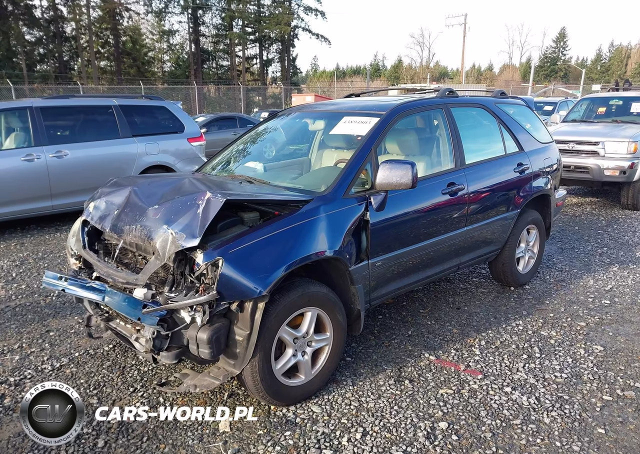 2001 Lexus Rx 300 VIN:JTJHF10U010225463 - 2