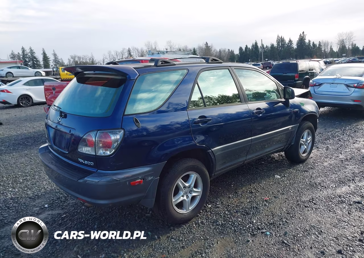 2001 Lexus Rx 300 VIN:JTJHF10U010225463 - 4
