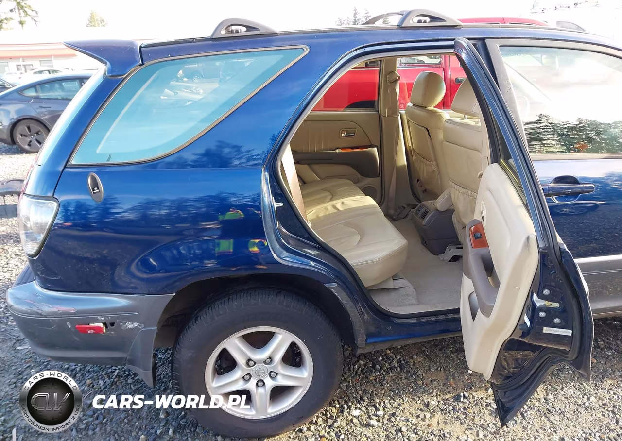 2001 Lexus Rx 300 VIN:JTJHF10U010225463 - 8