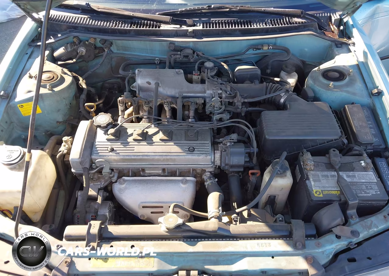 1995 Toyota Corolla Le-Dx VIN:1NXAE09B1SZ231443 - 10