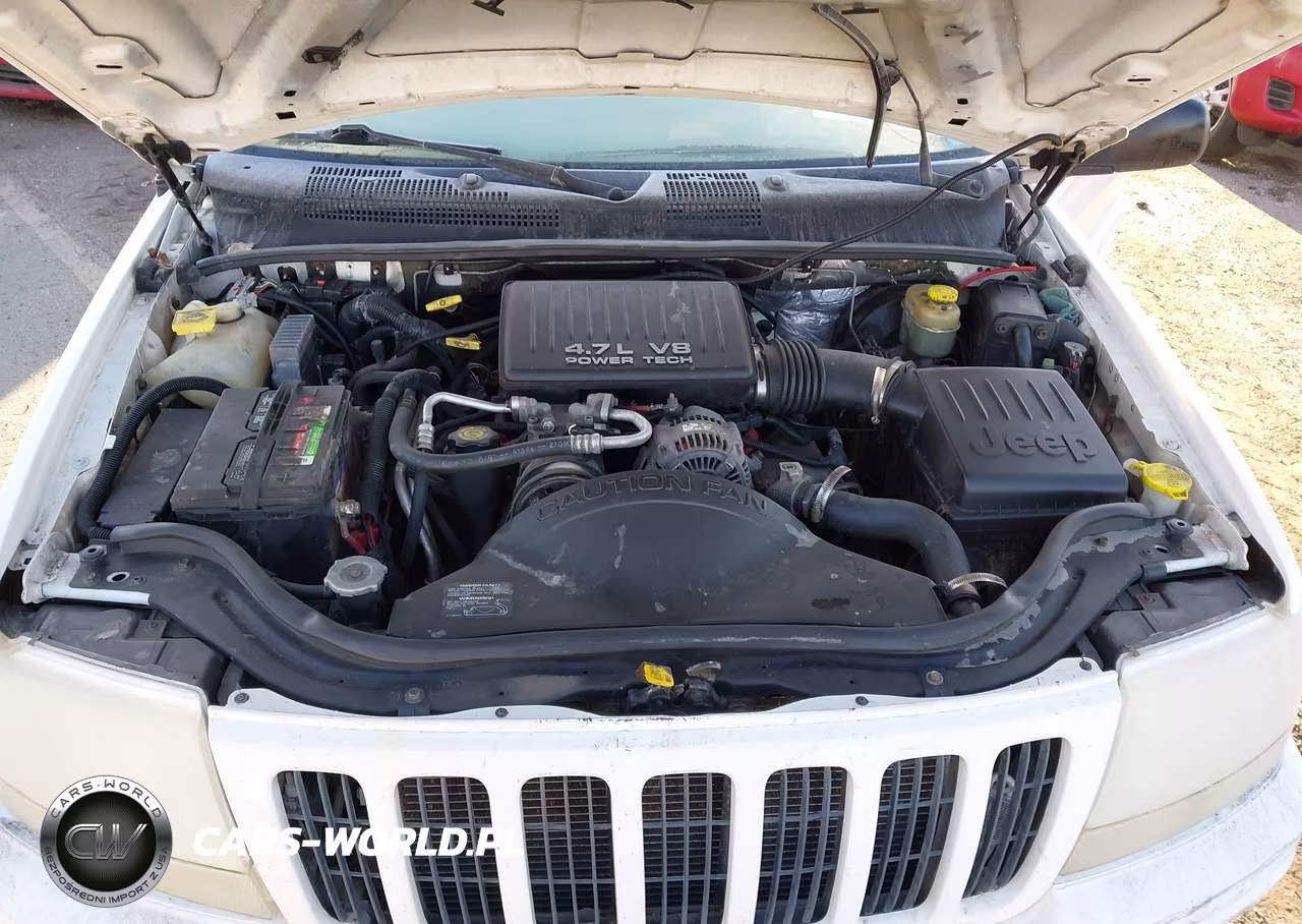 2000 Jeep Grand Cherokee Limited VIN:1J4GW58N4YC205061 - 10