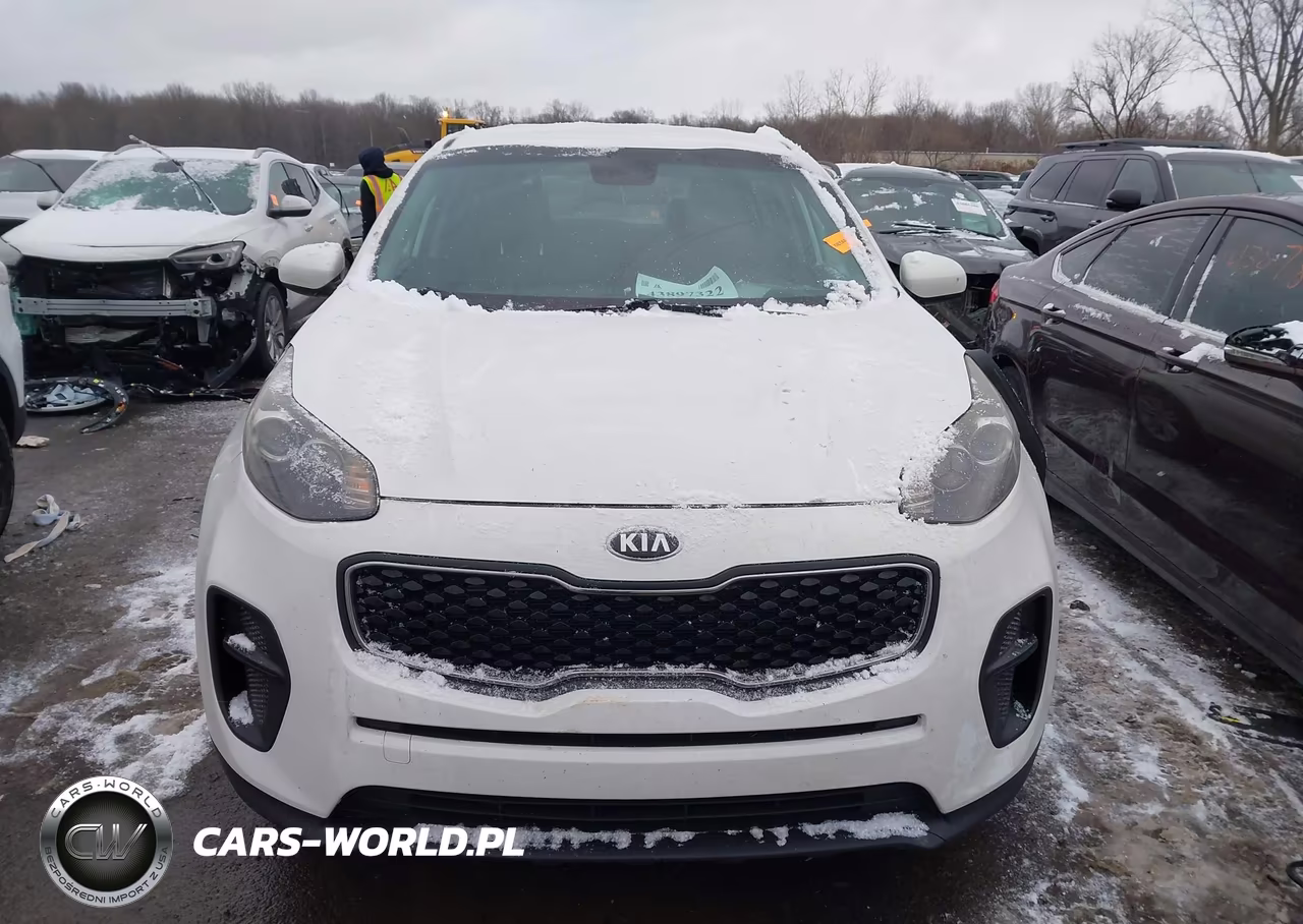 2019 Kia Sportage Lx VIN:KNDPM3AC5K7548521 - 12