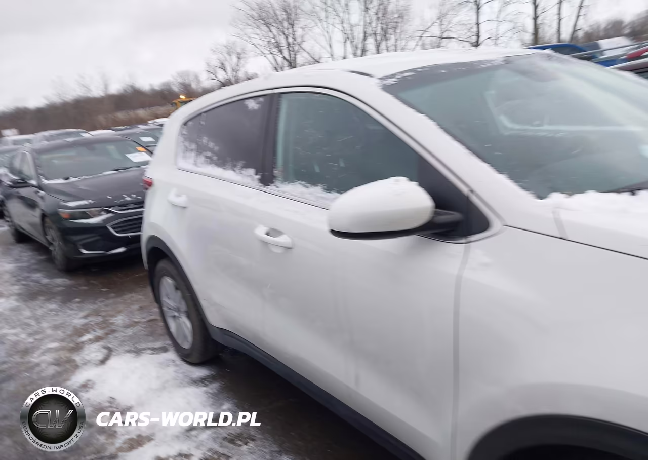 2019 Kia Sportage Lx VIN:KNDPM3AC5K7548521 - 13
