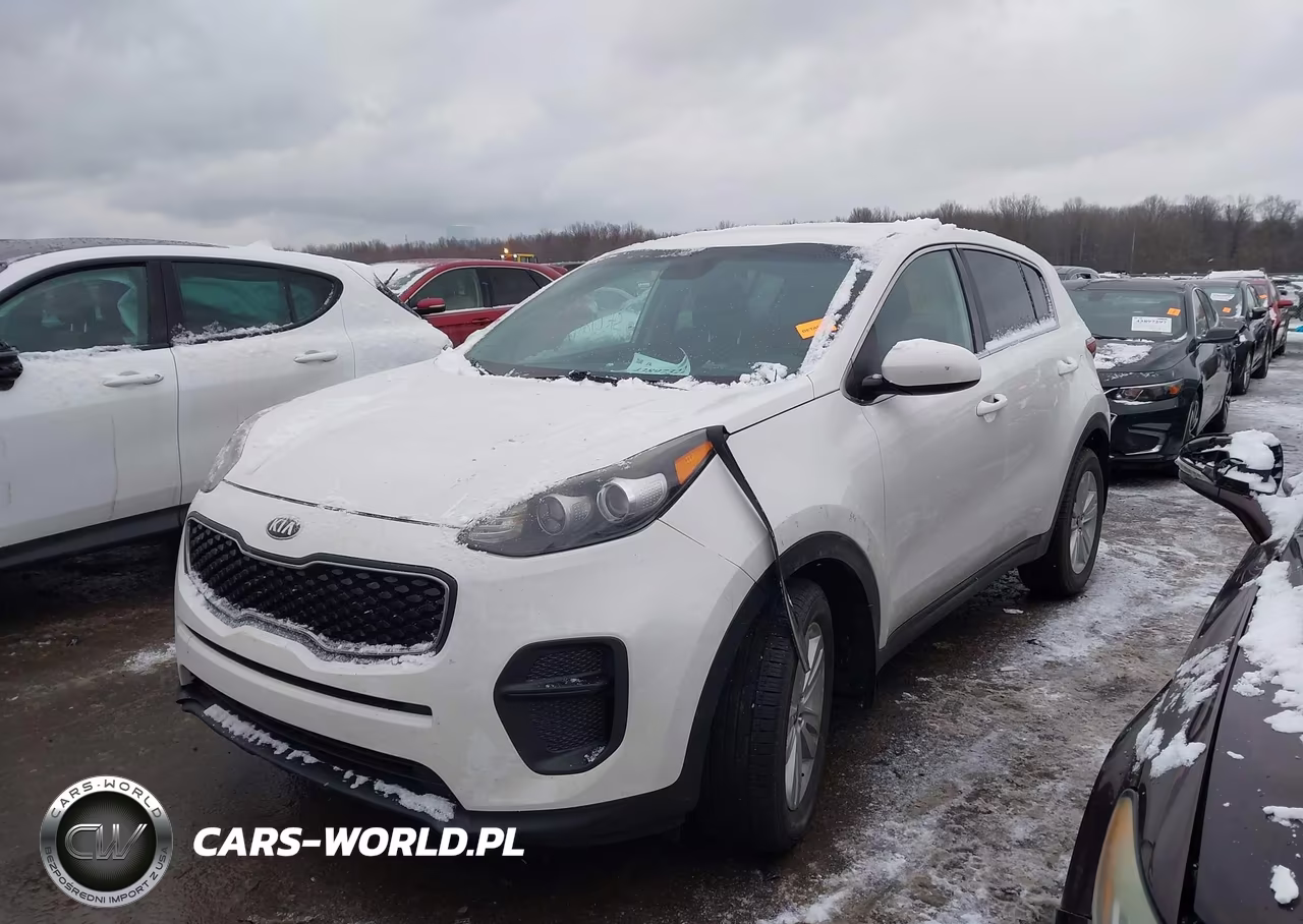 2019 Kia Sportage Lx VIN:KNDPM3AC5K7548521 - 2