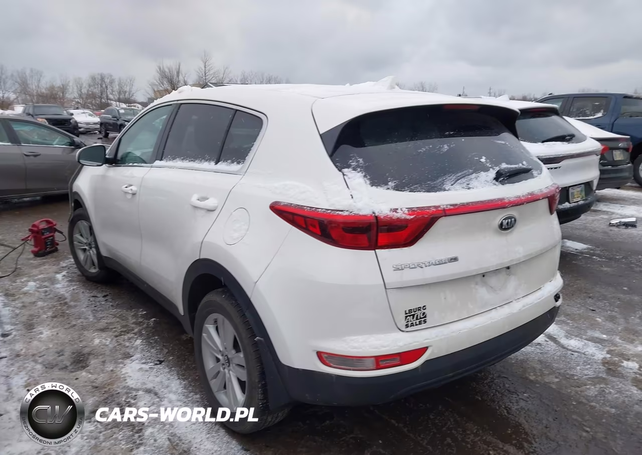 2019 Kia Sportage Lx VIN:KNDPM3AC5K7548521 - 3