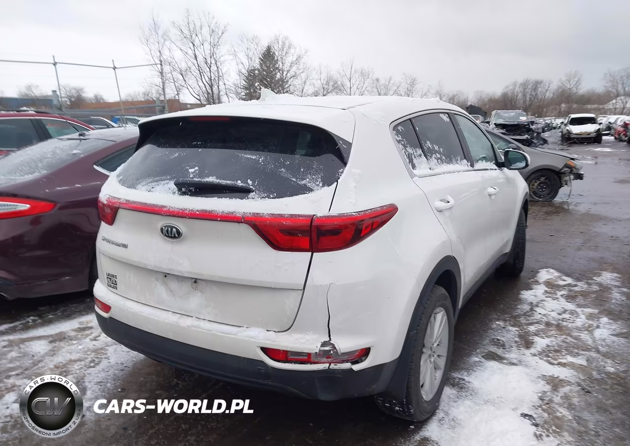 2019 Kia Sportage Lx VIN:KNDPM3AC5K7548521 - 4