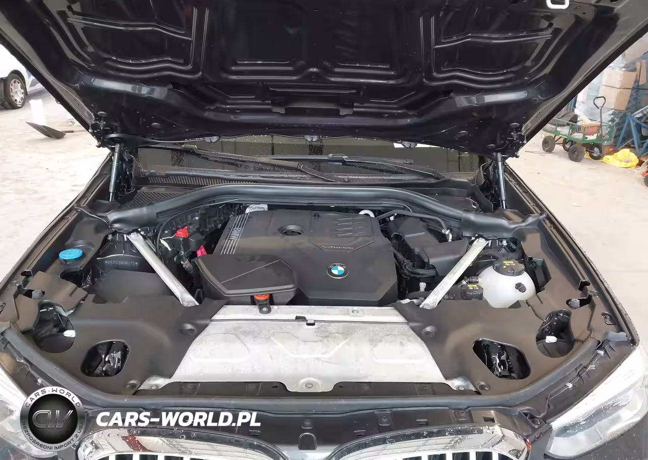 2021 BMW X3 Sdrive30I VIN:5UXTY3C00M9H44235 - 10