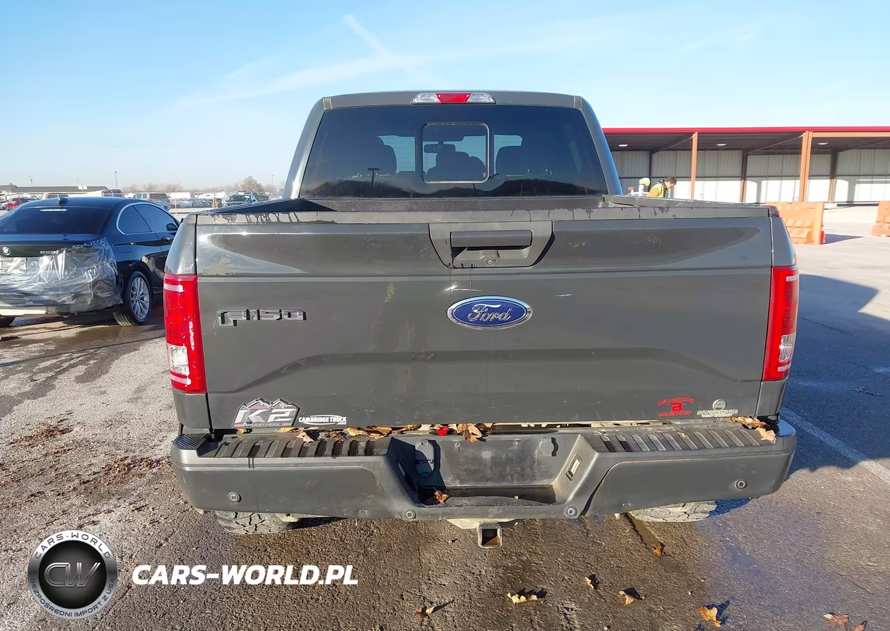 FORD F150 SUPER VIN:1FTEW1EF1GFC30015 - 16