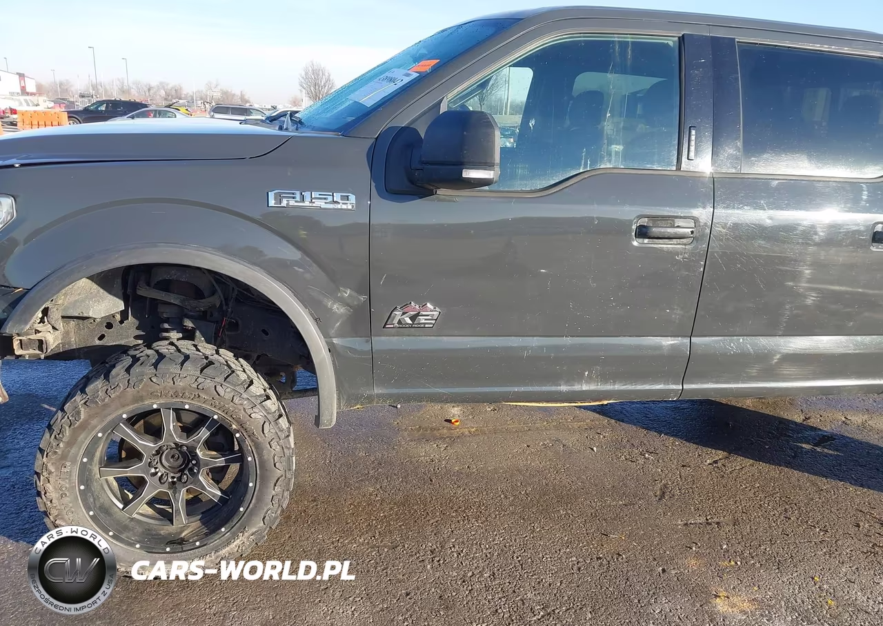 FORD F150 SUPER VIN:1FTEW1EF1GFC30015 - 17