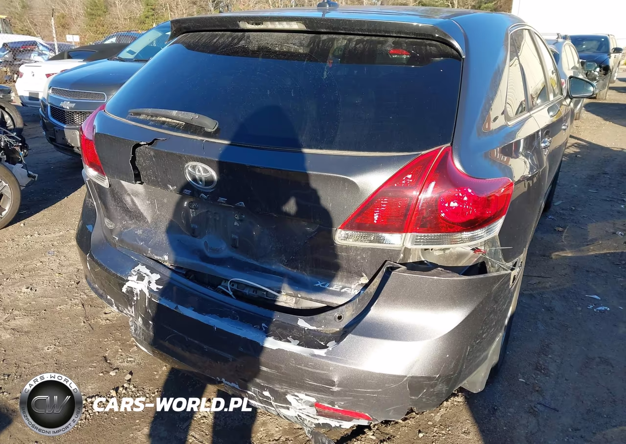 2015 Toyota Venza Xle VIN:4T3BA3BB8FU069531 - 6