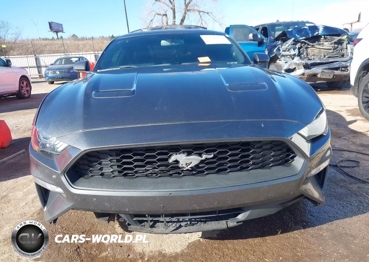 2020 Ford Mustang Ecoboost Premium Fastback VIN:1FA6P8TH9L5148103 - 13
