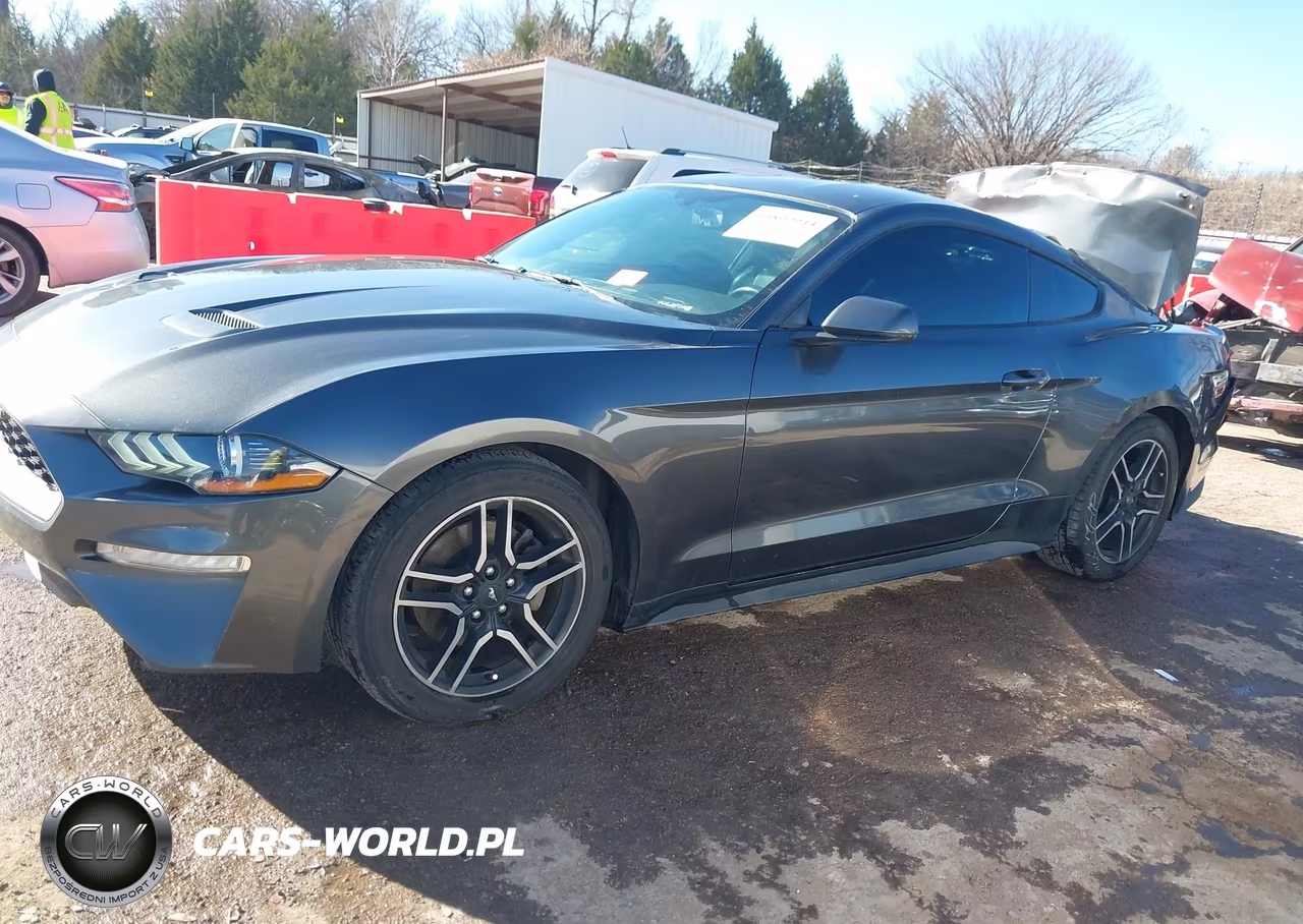 2020 Ford Mustang Ecoboost Premium Fastback VIN:1FA6P8TH9L5148103 - 15