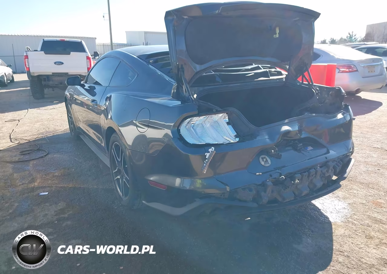 2020 Ford Mustang Ecoboost Premium Fastback VIN:1FA6P8TH9L5148103 - 3
