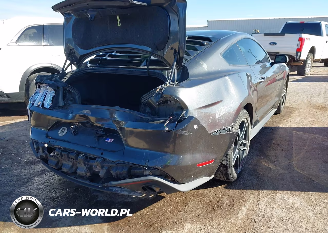 2020 Ford Mustang Ecoboost Premium Fastback VIN:1FA6P8TH9L5148103 - 4