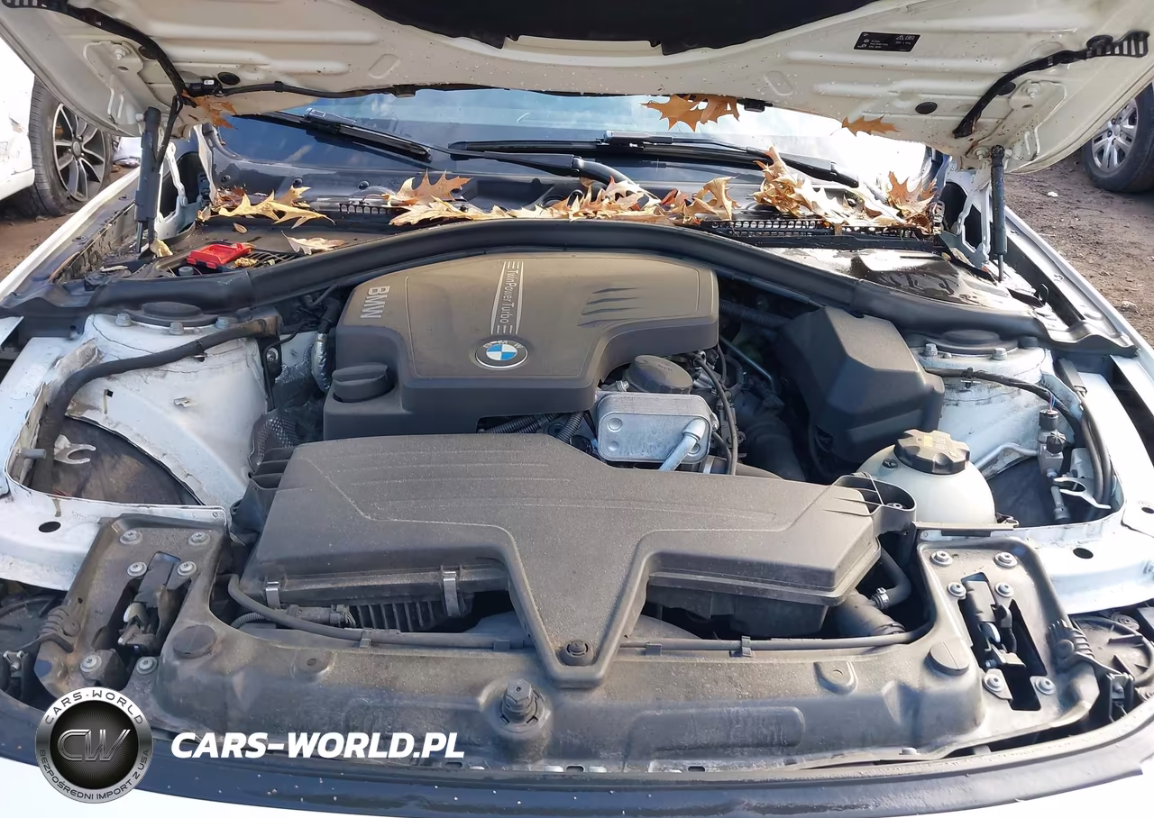 2016 BMW 428I VIN:WBA3N7C59GK228332 - 10