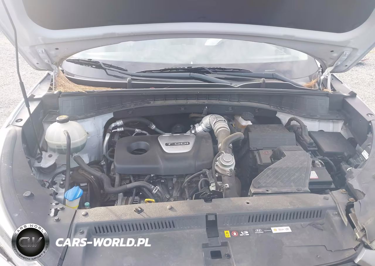 2017 Hyundai Tucson Sport VIN:KM8J3CA21HU287734 - 10