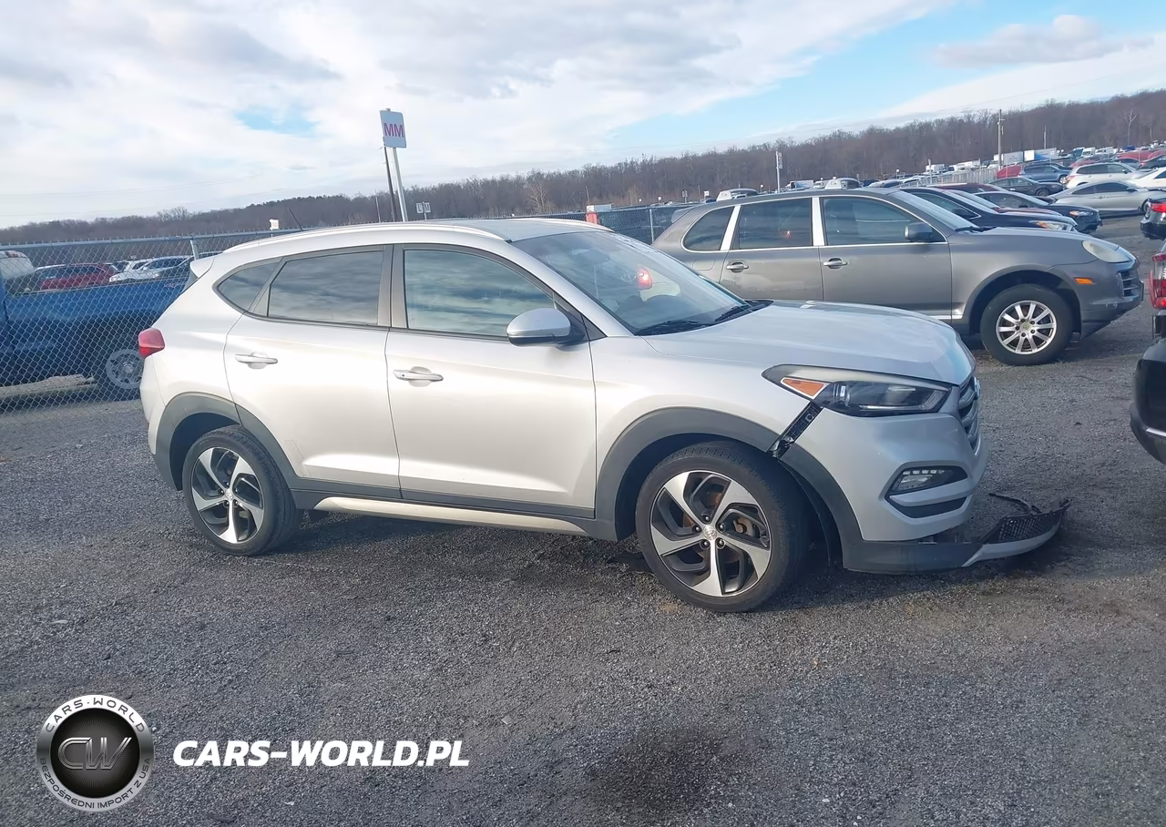 2017 Hyundai Tucson Sport VIN:KM8J3CA21HU287734 - 13
