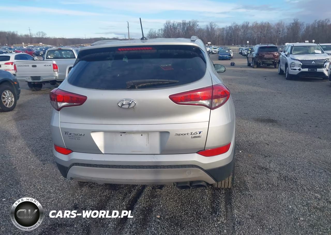 2017 Hyundai Tucson Sport VIN:KM8J3CA21HU287734 - 16