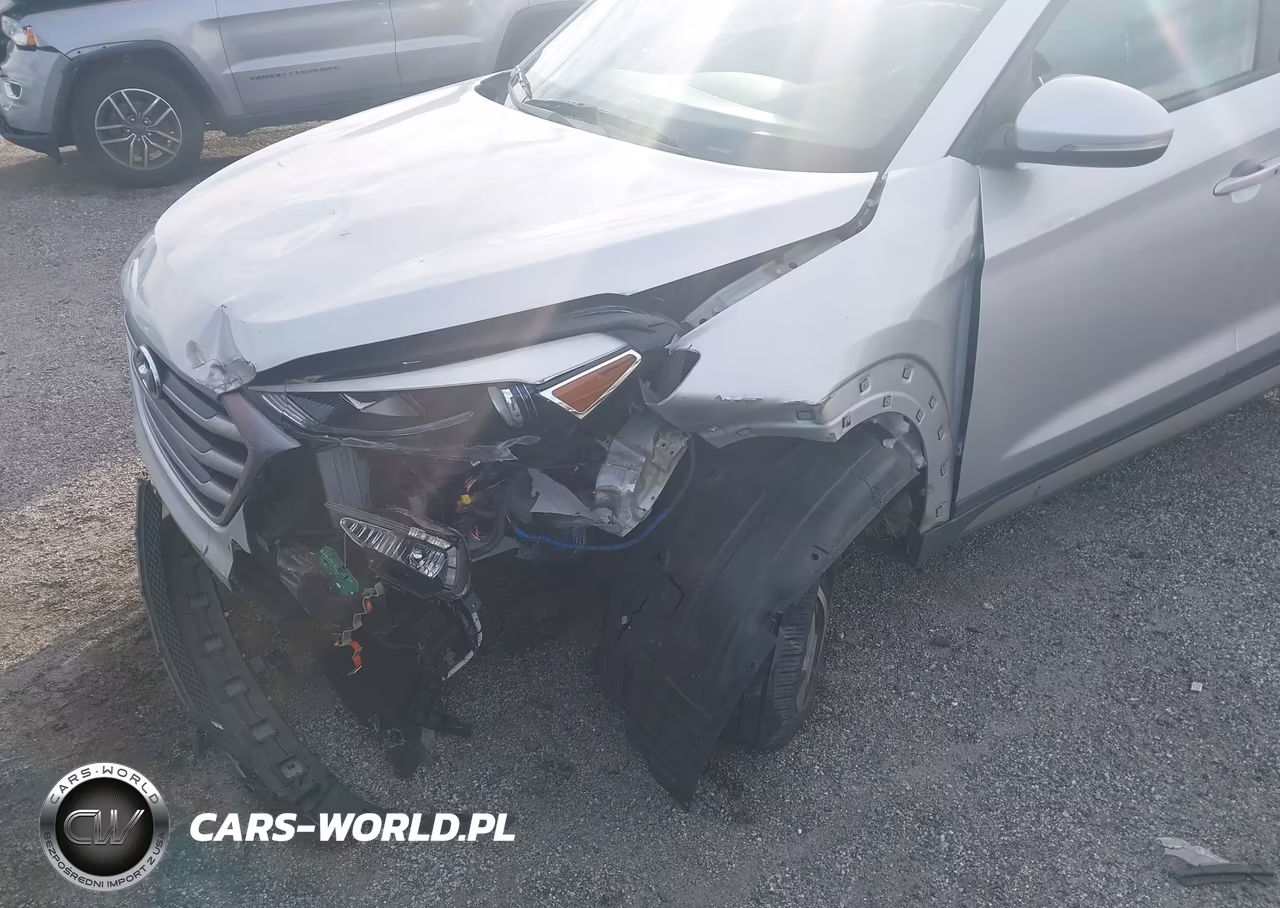 2017 Hyundai Tucson Sport VIN:KM8J3CA21HU287734 - 6