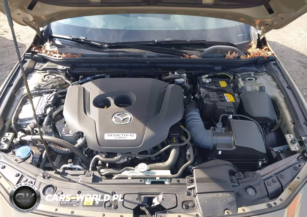 2025 Mazda Mazda3 2.5 Carbon Turbo VIN:JM1BPBYY8S1772768 - 10