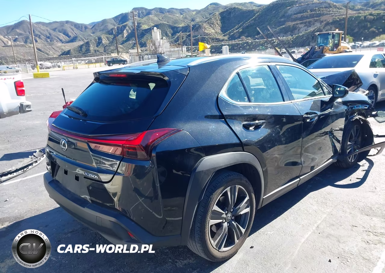 2023 Lexus Ux 250H VIN:JTHX6JBH3P2133922 - 4