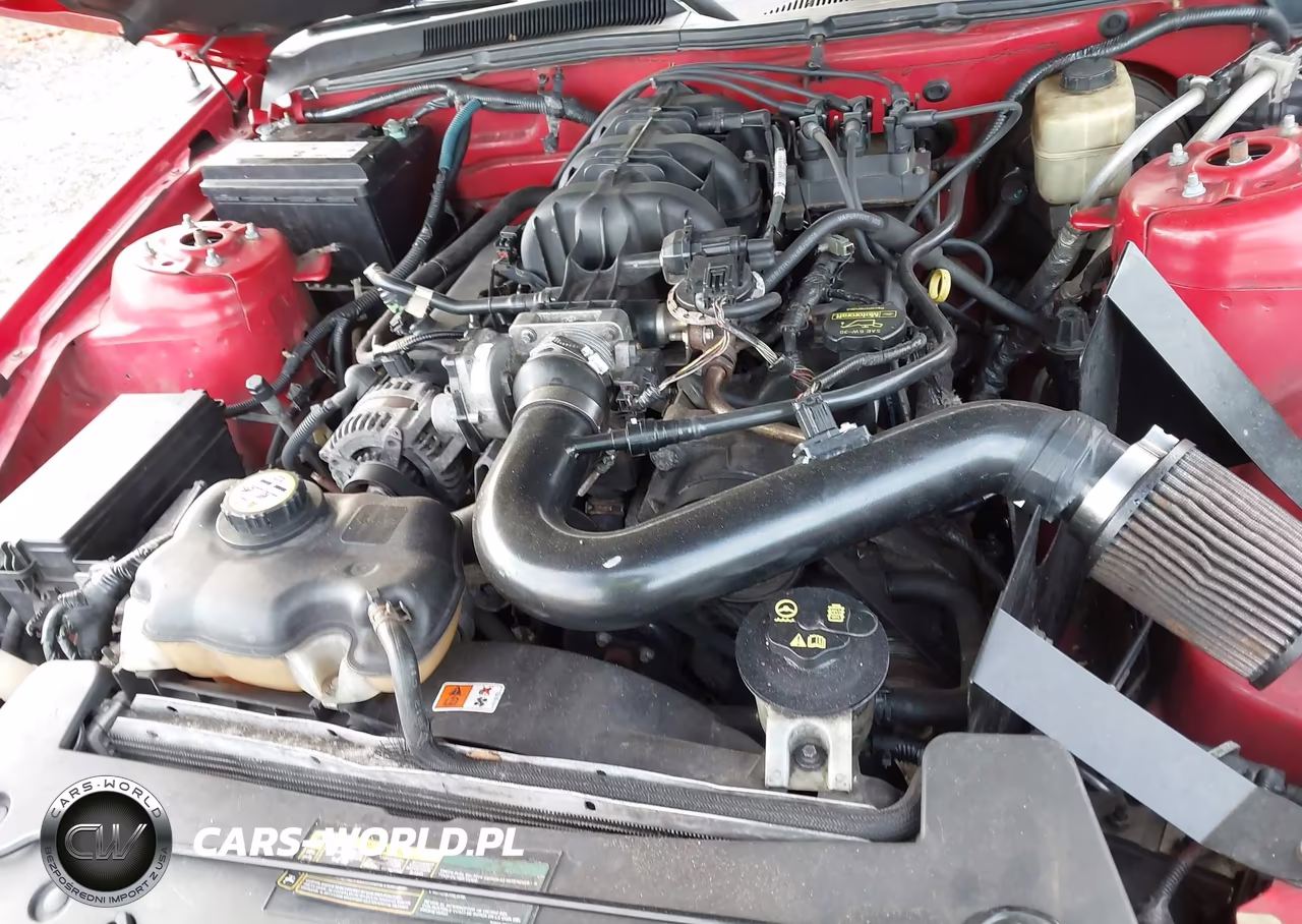 2008 Ford Mustang V6 Deluxe-V6 Premium VIN:1ZVHT84N685188369 - 10