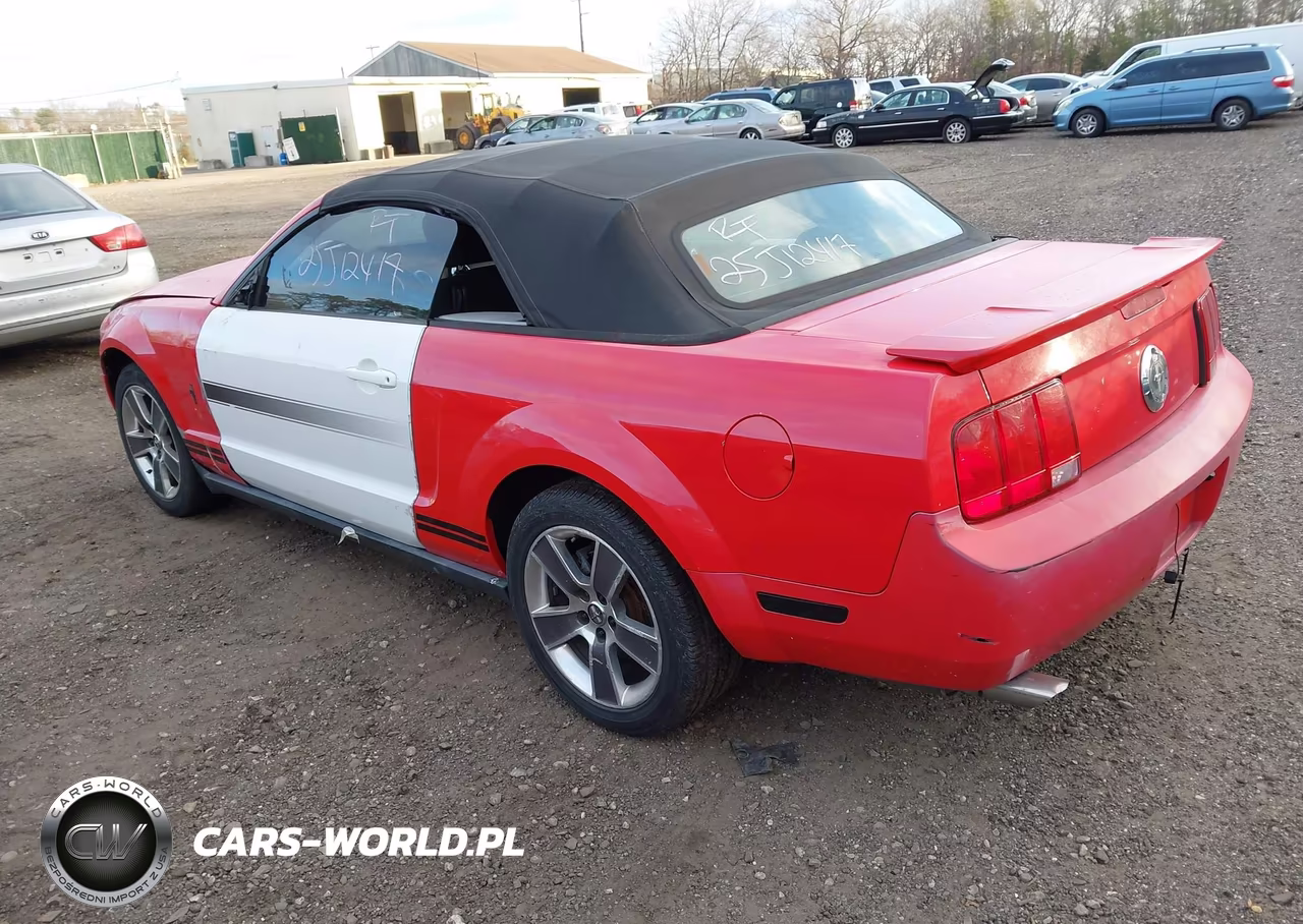 2008 Ford Mustang V6 Deluxe-V6 Premium VIN:1ZVHT84N685188369 - 3