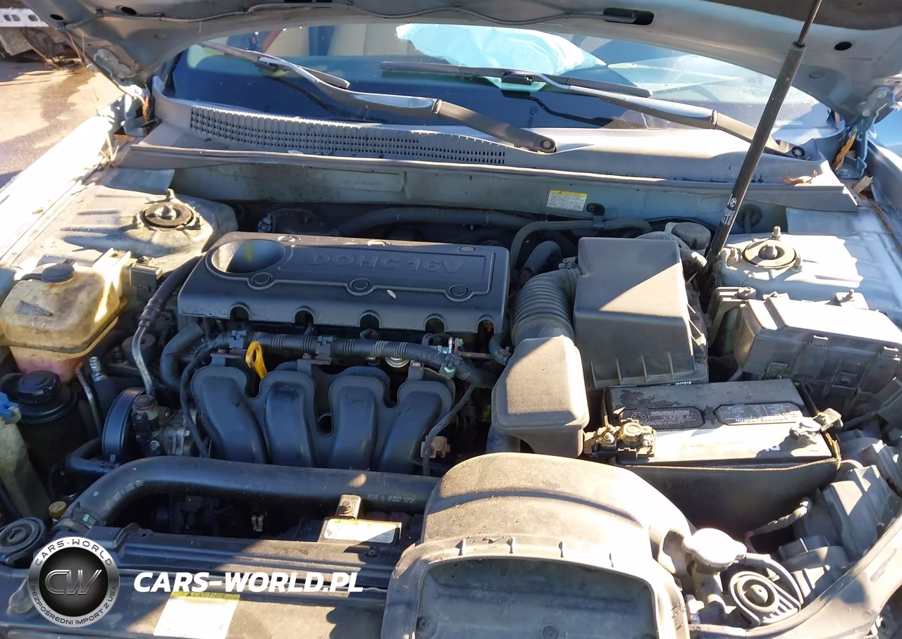 2009 Hyundai Sonata Gls VIN:5NPET46C49H494787 - 10