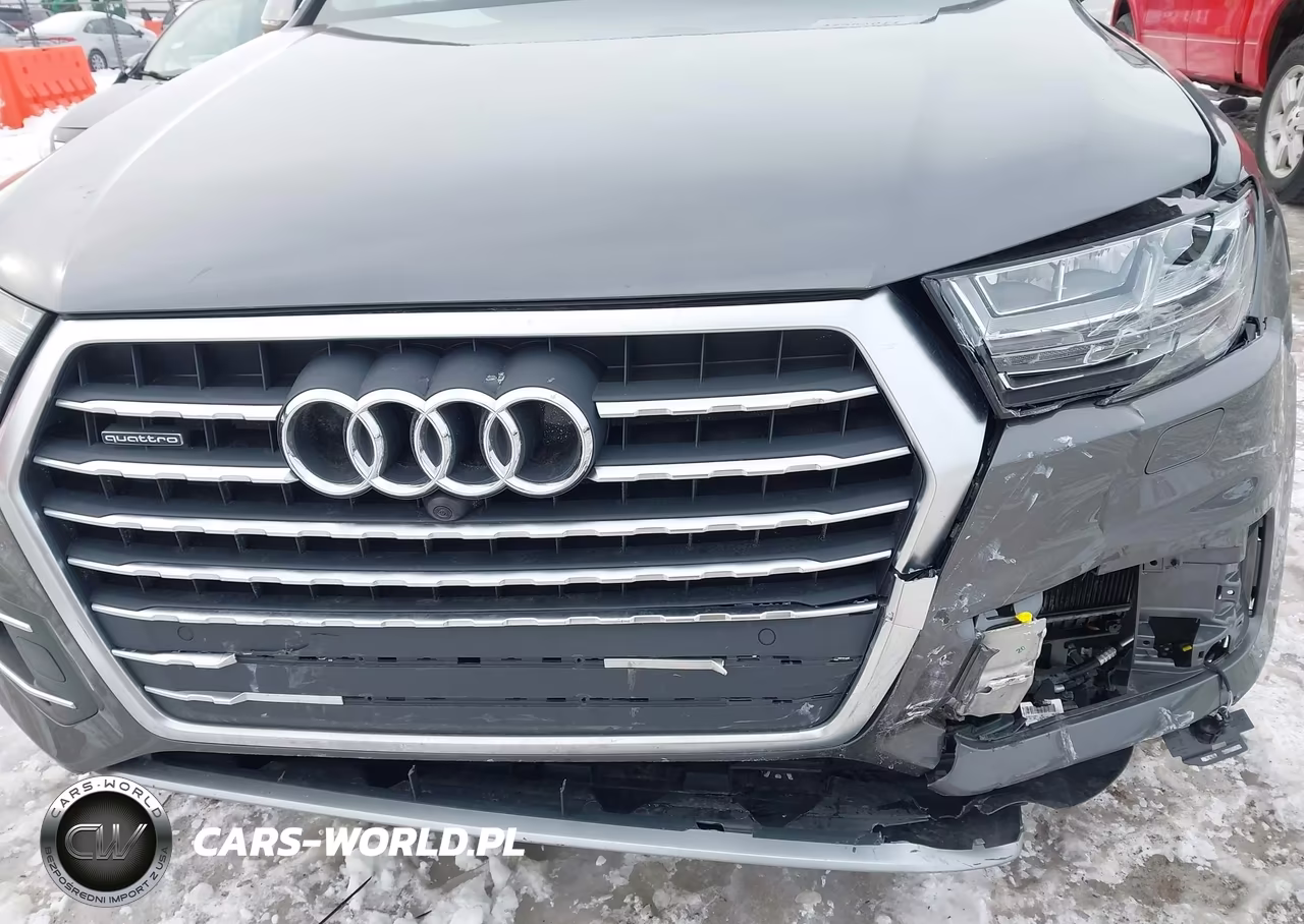 2019 Audi Q7 55 Premium-55 Se Premium VIN:WA1AAAF78KD046743 - 17