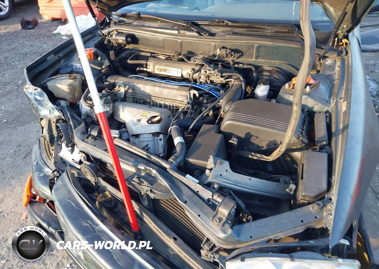 1994 Toyota Camry Le VIN:4T1SK12EXRU366924 - 10