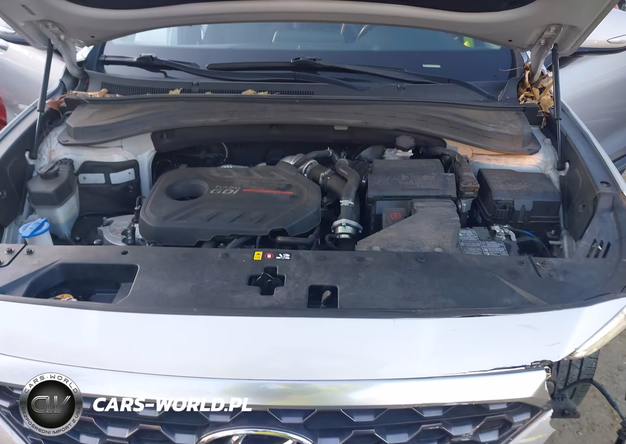 2020 Hyundai Santa Fe Sel 2.0T VIN:5NMS33AA8LH151861 - 10