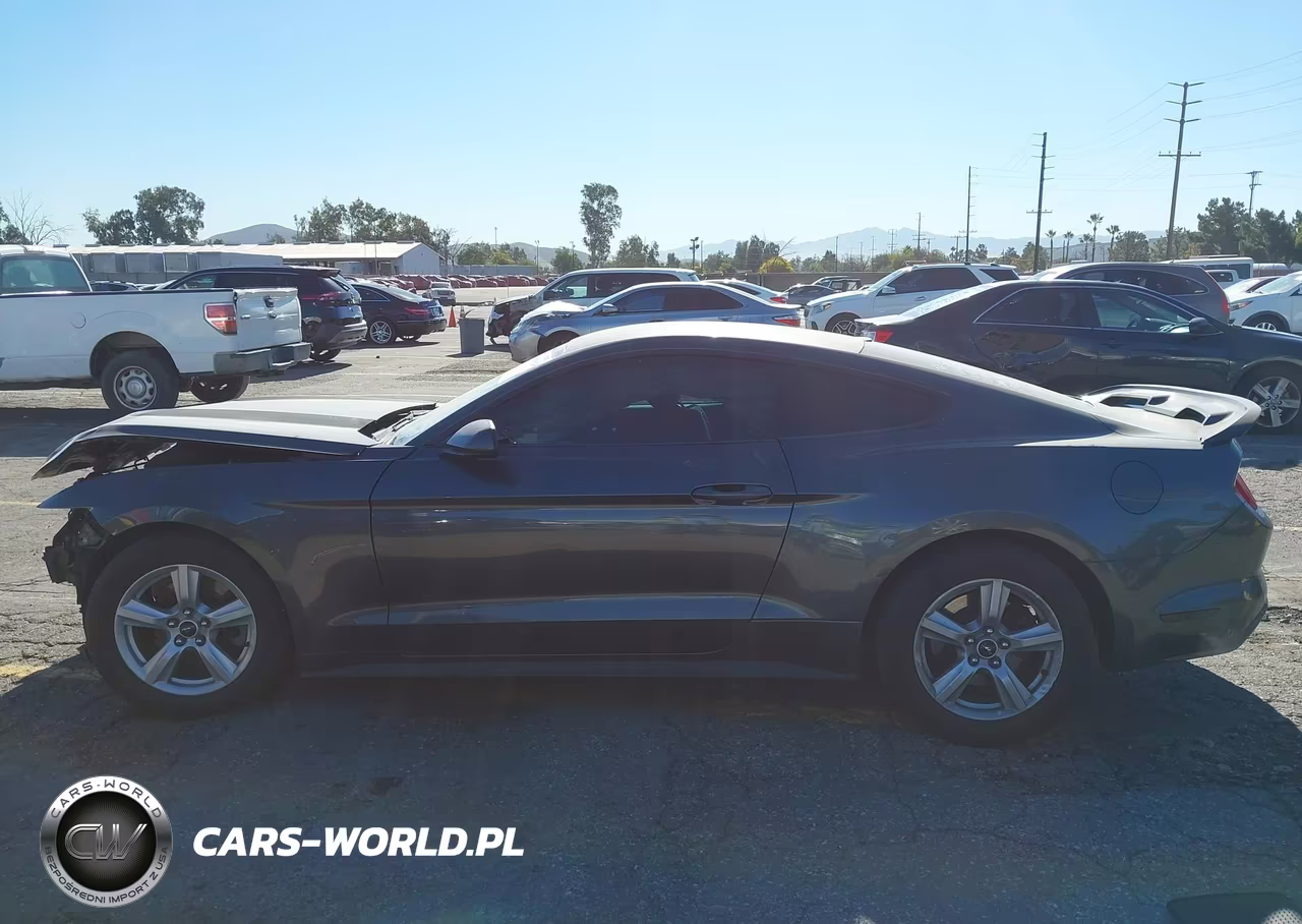 2017 Ford Mustang V6 VIN:1FA6P8AM5H5317007 - 14