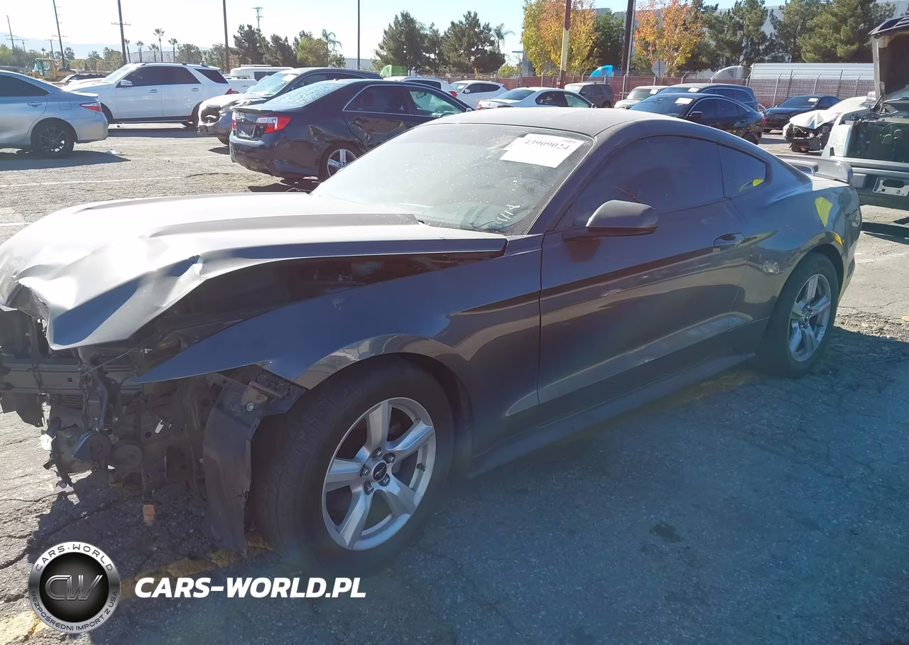 2017 Ford Mustang V6 VIN:1FA6P8AM5H5317007 - 2