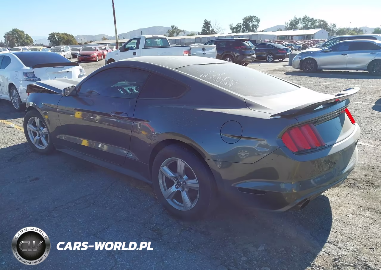 2017 Ford Mustang V6 VIN:1FA6P8AM5H5317007 - 3