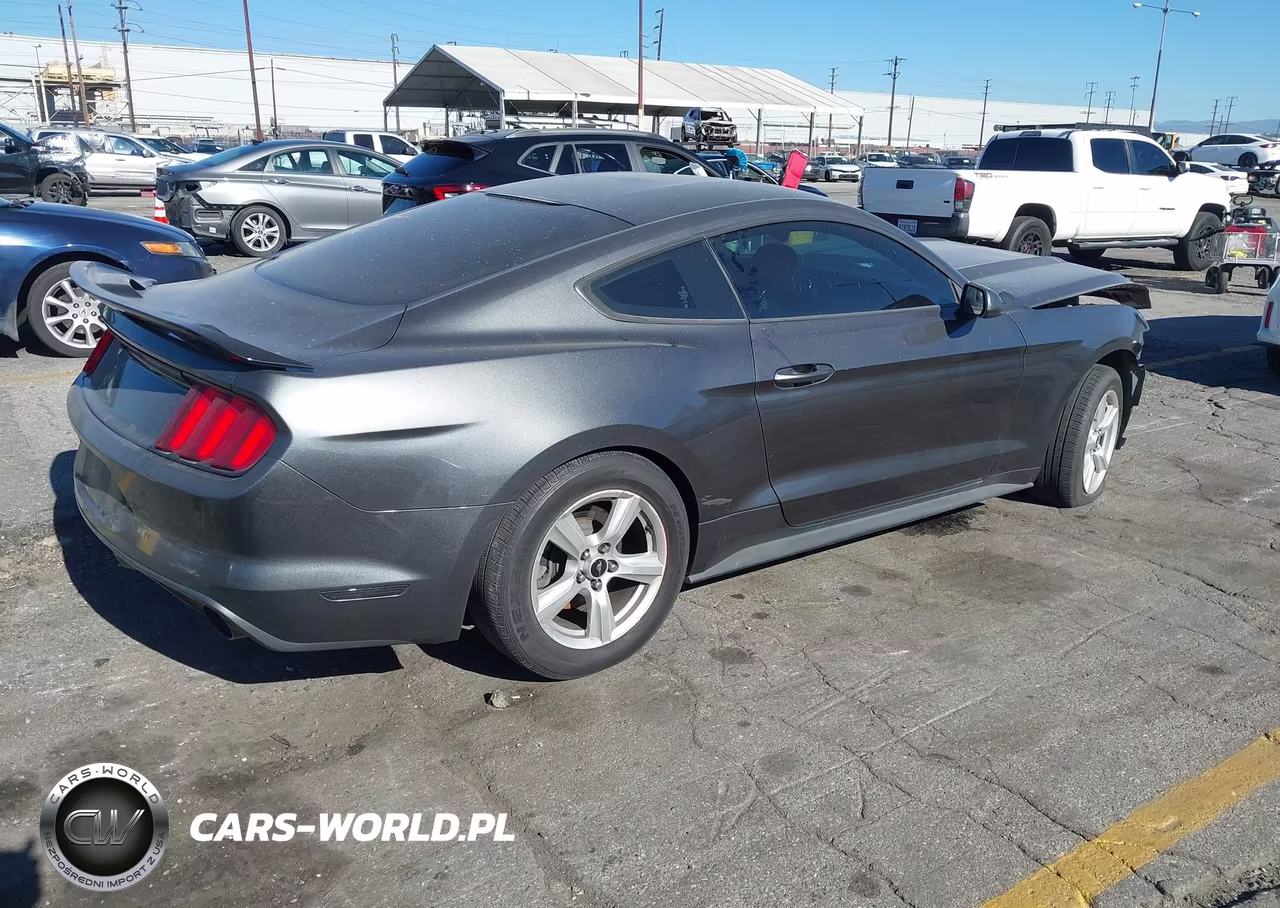 2017 Ford Mustang V6 VIN:1FA6P8AM5H5317007 - 4