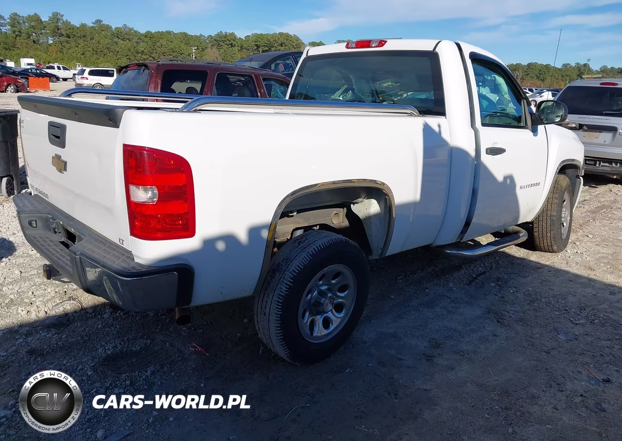 2011 Chevrolet Silverado 1500 Work Truck VIN:1GCNCPEX4BZ204634 - 4