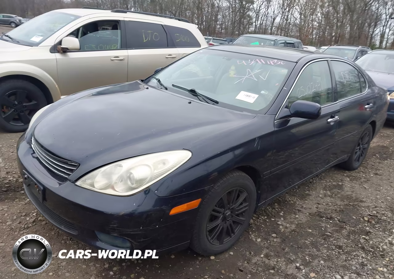 2004 Lexus Es 330 VIN:JTHBA30G345037250 - 2