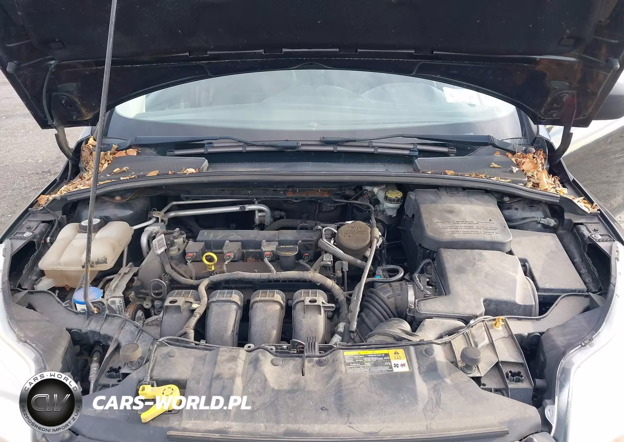 2013 Ford Focus S VIN:1FADP3E21DL180026 - 10