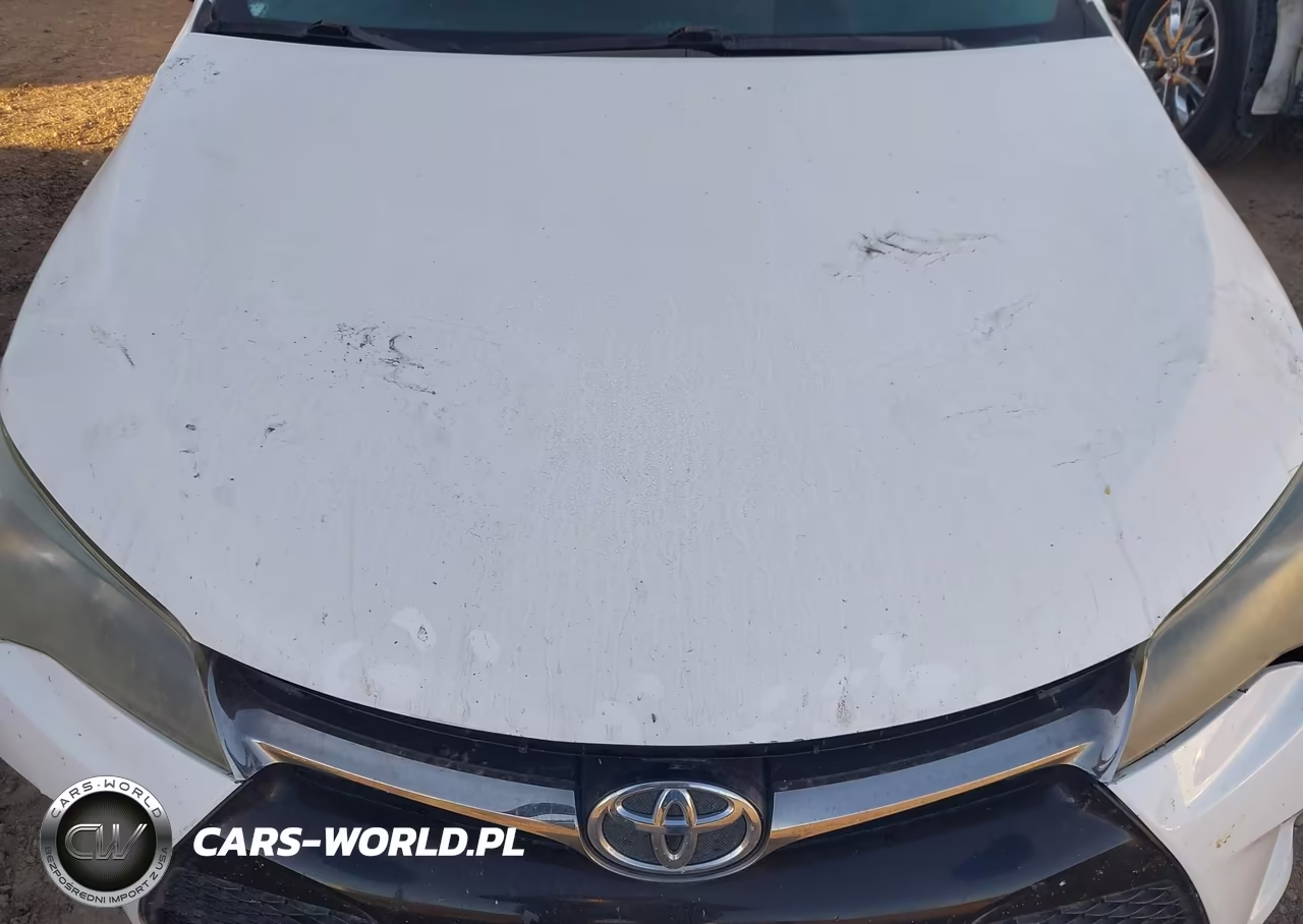 2017 Toyota Camry Se VIN:4T1BF1FK5HU398828 - 10