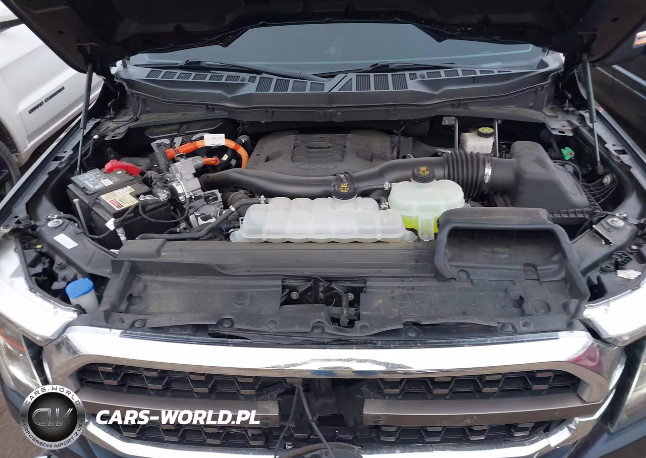 2022 Ford F150 Supercrew VIN:1FTFW1ED7NFA09535 - 10