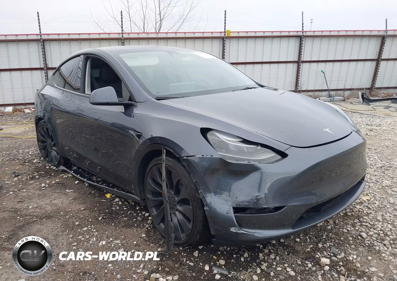 2023 Tesla Model Y Performance Dual Motor All-Wheel Drive