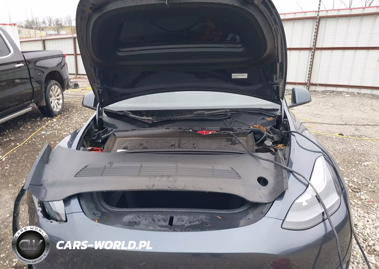2023 Tesla Model Y Performance Dual Motor All-Wheel Drive VIN:7SAYGDEF6PF766073 - 10