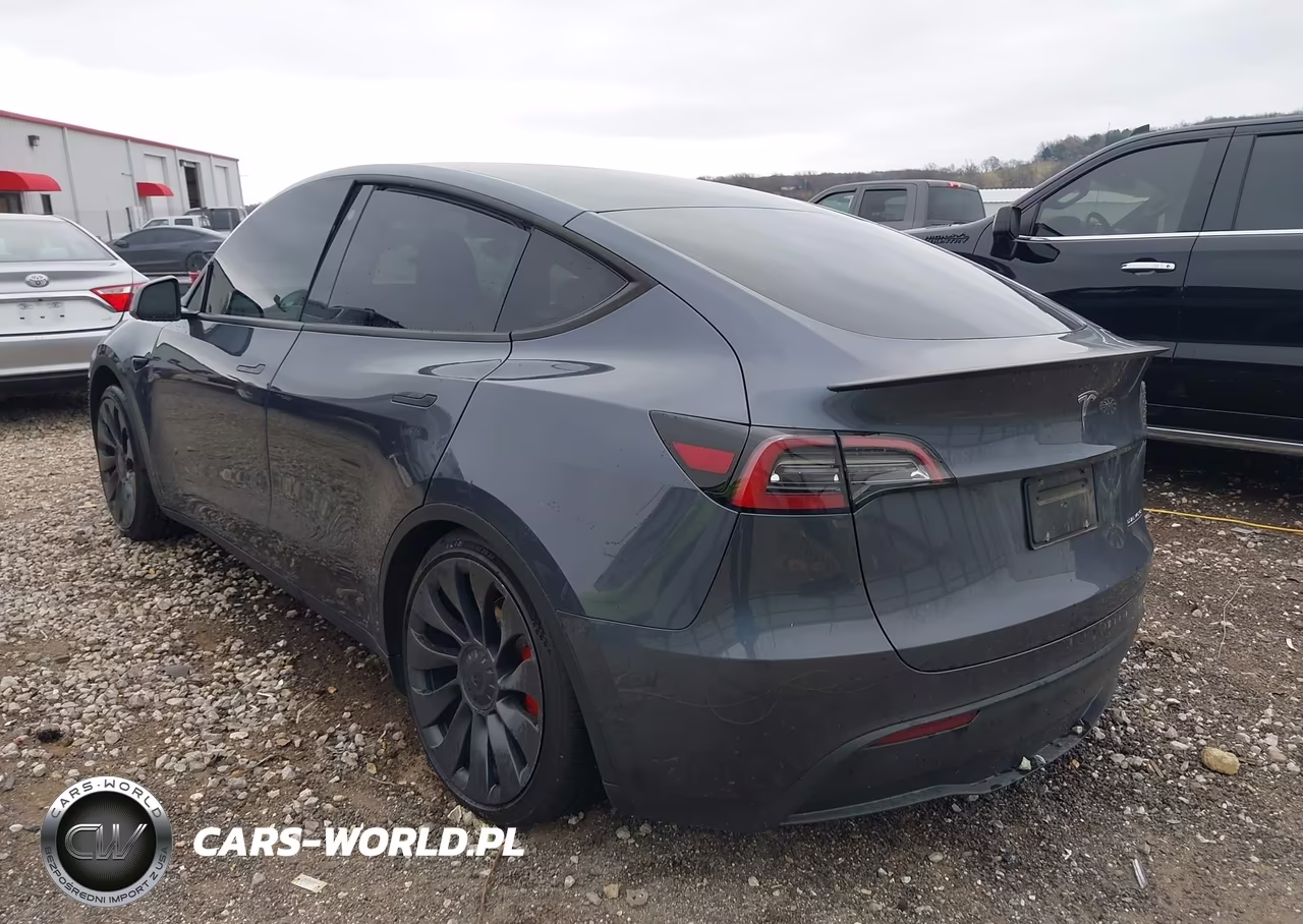 2023 Tesla Model Y Performance Dual Motor All-Wheel Drive VIN:7SAYGDEF6PF766073 - 3