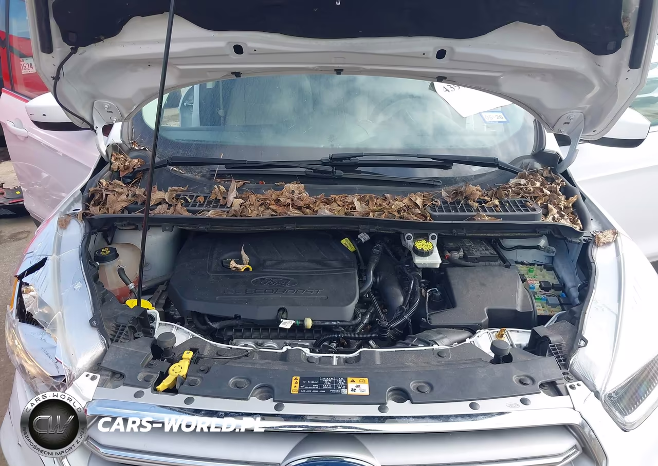 2018 Ford Escape Se VIN:1FMCU0GD9JUD23317 - 10