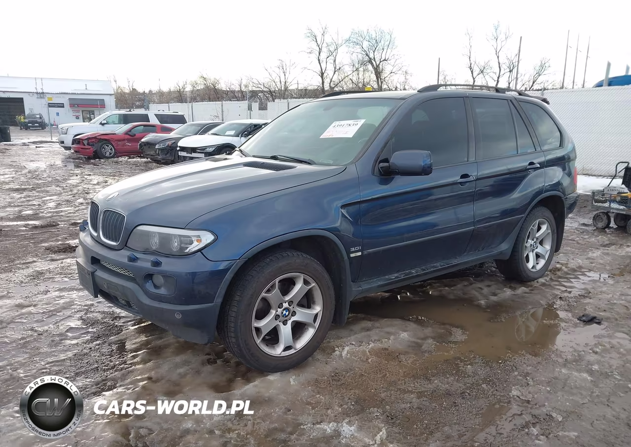 2004 BMW X5 3.0I VIN:5UXFA13544LU22666 - 2