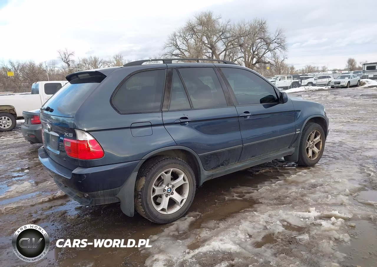 2004 BMW X5 3.0I VIN:5UXFA13544LU22666 - 4